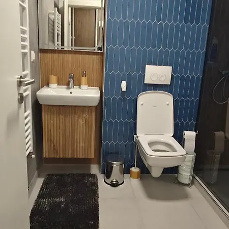 Garsoniera Alle Apartmán Brašov