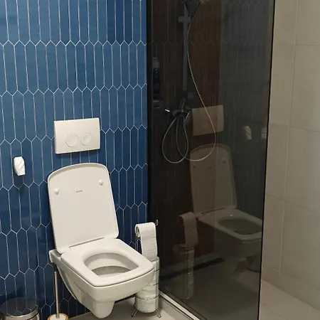 Apartment Garsoniera Alle