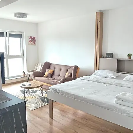 Apartment Garsoniera Alle *
