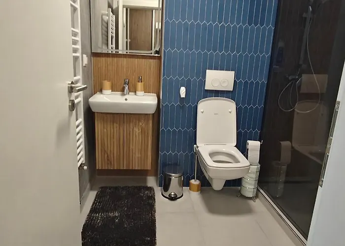 Garsoniera Alle Appartement Braşov