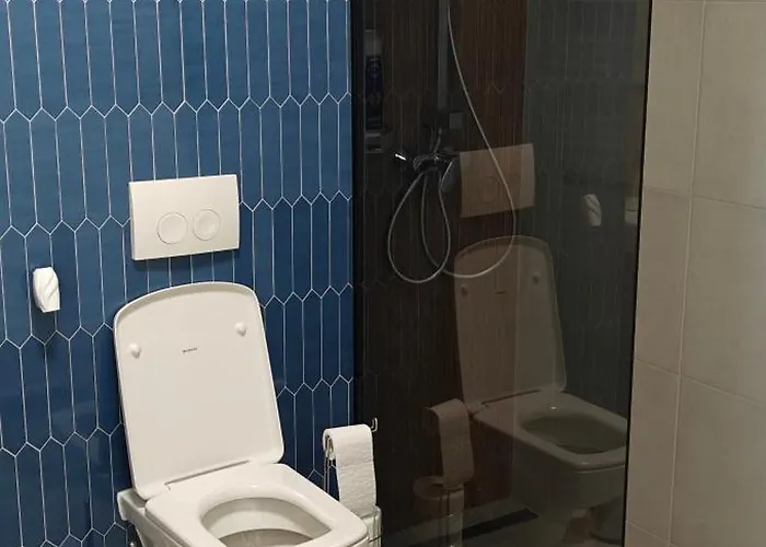 Apartment Garsoniera Alle