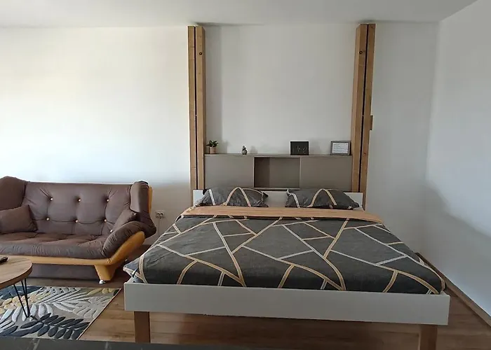 Apartment Garsoniera Alle